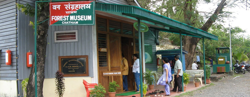 Forest Museum  